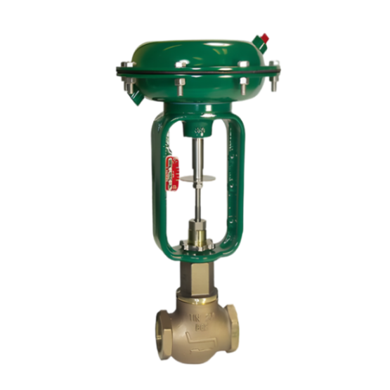 Baumann™ 24000 Little Scotty™ Bronze Control Valve
