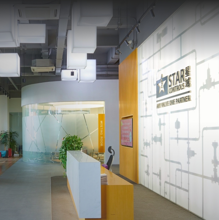 走进星空(中国)