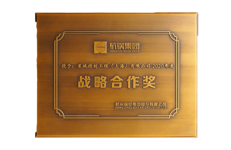 星空(中国)荣获2020年度战略合作奖