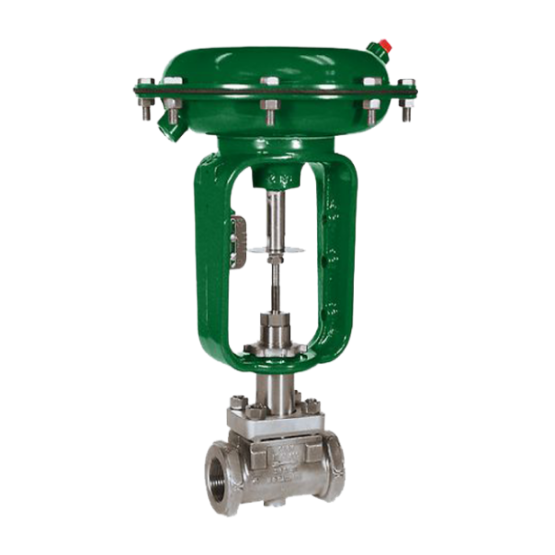 Baumann™ 24000S 不锈钢控制阀